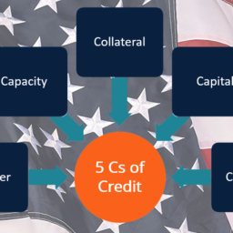 5 cs del credito in usa